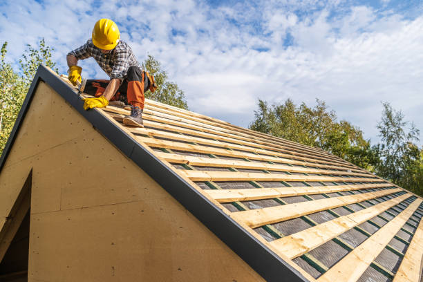 Best Roof Maintenance Services  in Woodmoor, CO