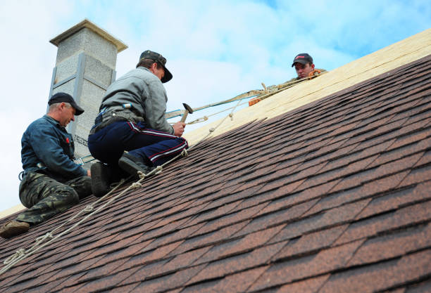 Best Shingle Roofing Installation  in Woodmoor, CO